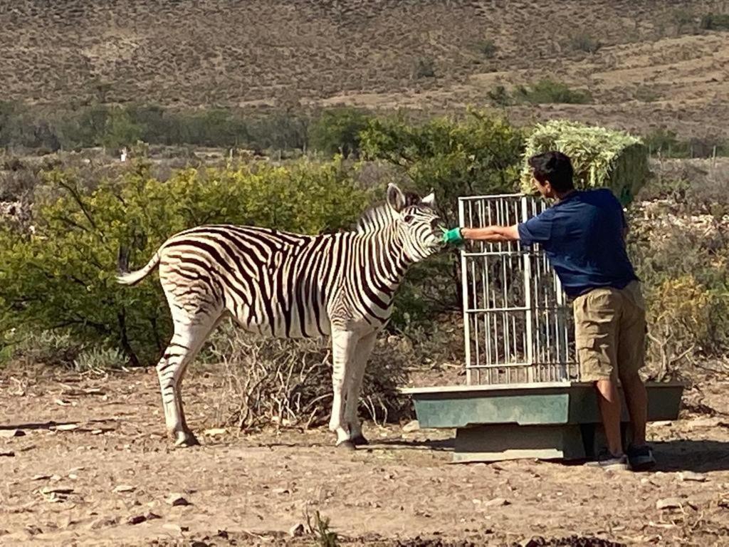 Aardvark Bioreserve Ladismith Exterior foto